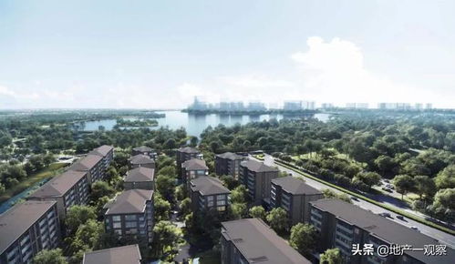 驗(yàn)資200萬才能看房,萬科2022年第一個(gè)頂豪亮相